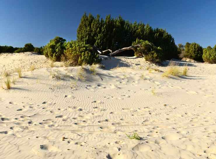dune in sardegna