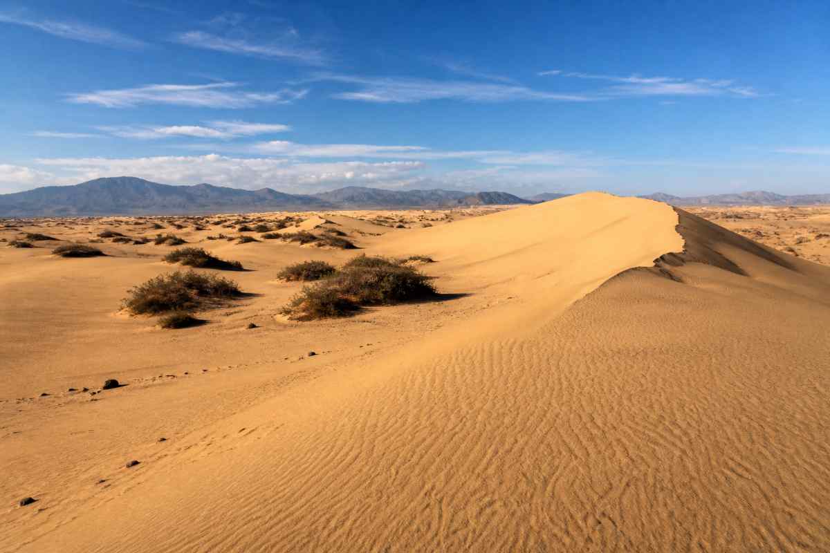 deserto