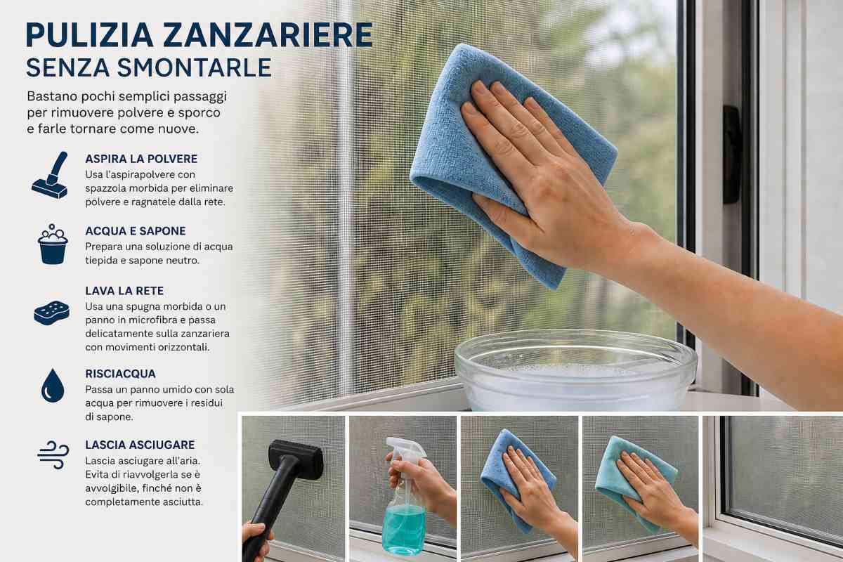 donna pulisce zanzariere